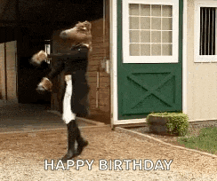 a person in a horse costume is standing in front of a green door and says happy birthday .