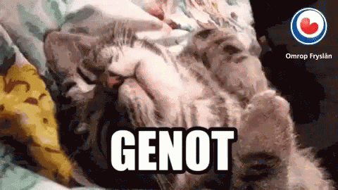 Genot Cat Sleeping GIF - Genot Cat Sleeping Cat GIFs