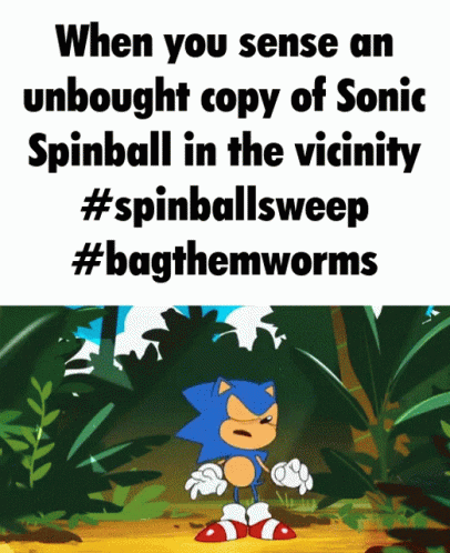 Spinballsweep Bagthemworms GIF - Spinballsweep Bagthemworms Sonic Frontiers GIFs