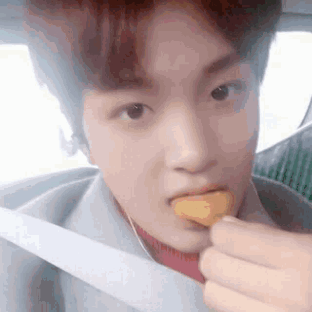 a young man is sitting in a car with a seat belt on and eating a piece of food .