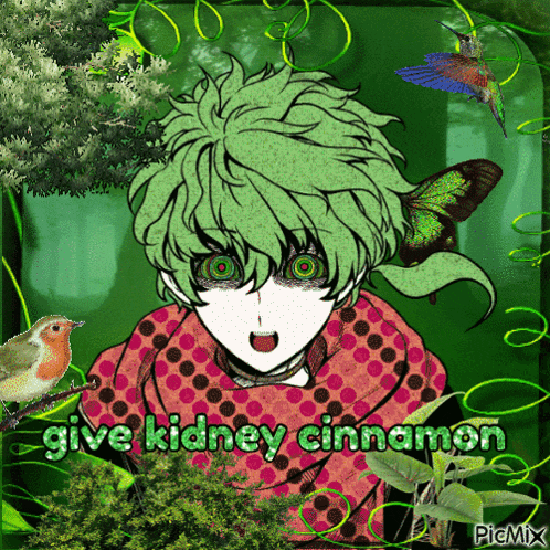 a picture of a boy with green hair and the words give kidney cinnamon on the bottom