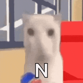 a white dog with the letter n on its face is standing next to a red box and a window .