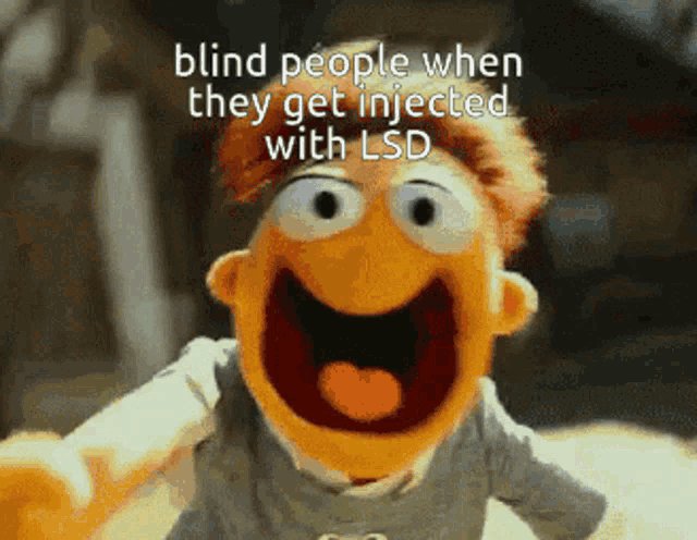 a muppet with the words blind people when they get injected with lsd
