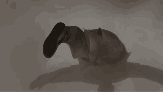 a person 's feet are visible in a dark room