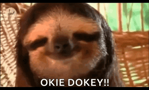 a close up of a sloth with the words `` okie dokey '' written next to it .