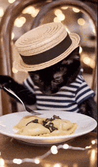 a cat wearing a hat and striped shirt is eating a plate of ravioli