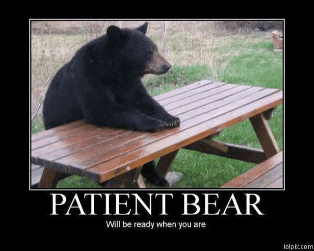 a bear sitting at a picnic table with a poster that says patient bear