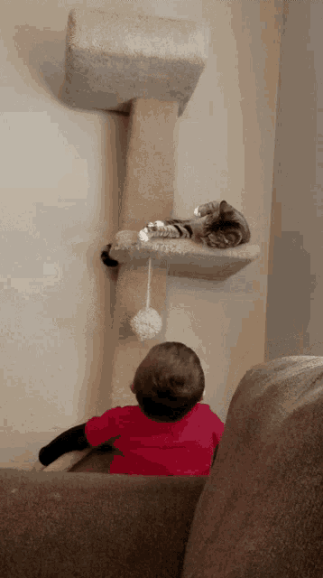 a little girl is sitting on a couch looking at a cat tree
