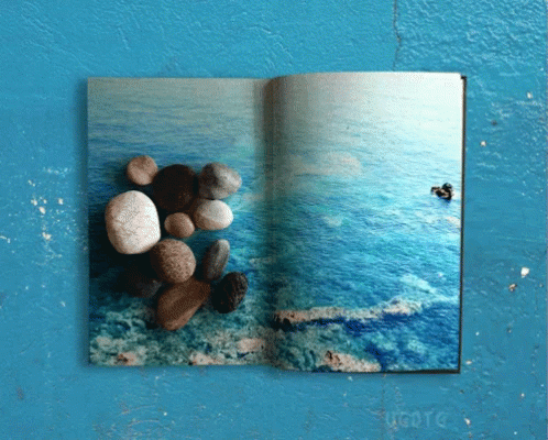 Cool Book GIF - Cool Book Beach GIFs
