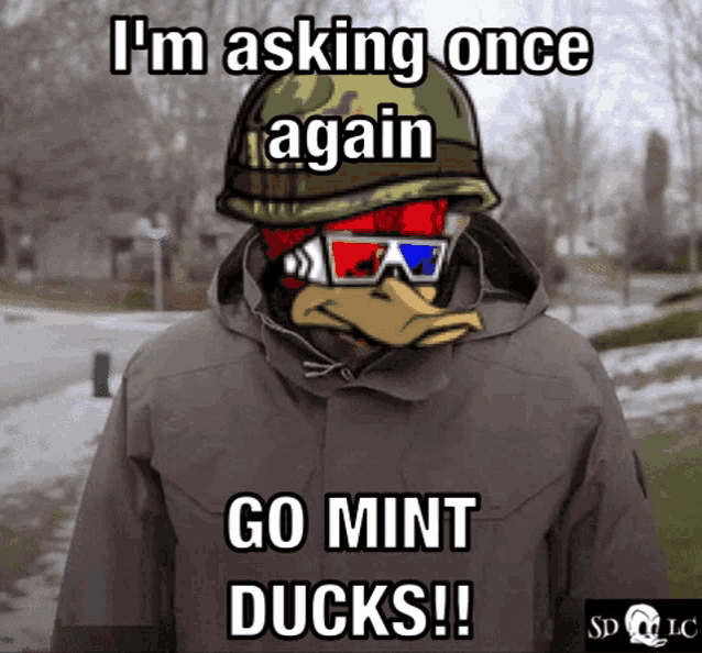 a duck wearing a helmet and 3d glasses says " i 'm asking once again go mint ducks "