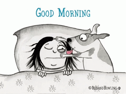 Good Morning Dog Kisses GIF - Good Morning Dog Kisses GIFs