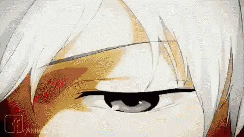 a close up of a person 's eye with white hair and black eyes .
