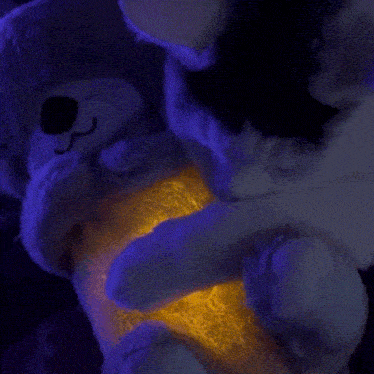 a stuffed animal is glowing in the dark and being held by a cat