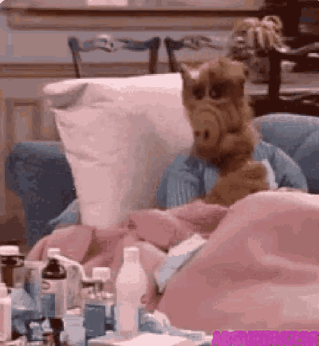 a stuffed animal is sitting on a couch with a pink blanket and a pillow .