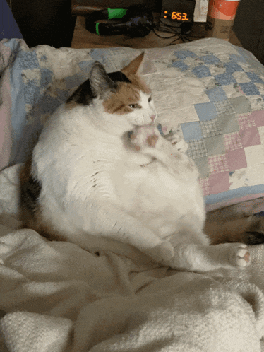 a cat laying on a bed with a digital clock that says 6:53