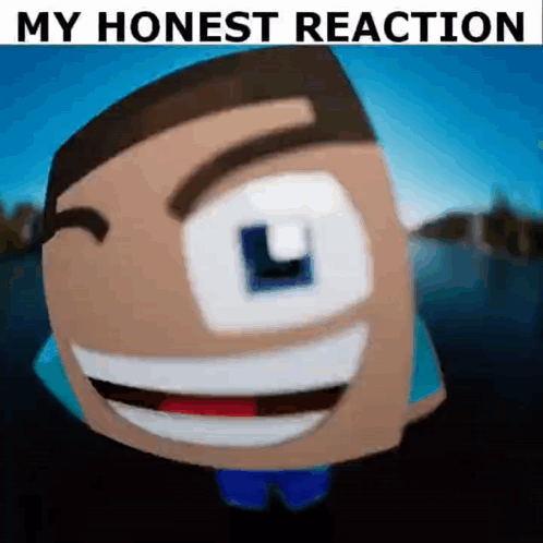 My Honest Reaction My Realest Reaction GIF - My Honest Reaction My Realest Reaction Minecraft GIFs