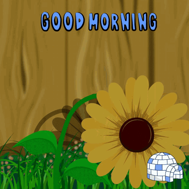 Hello Coffee GIF