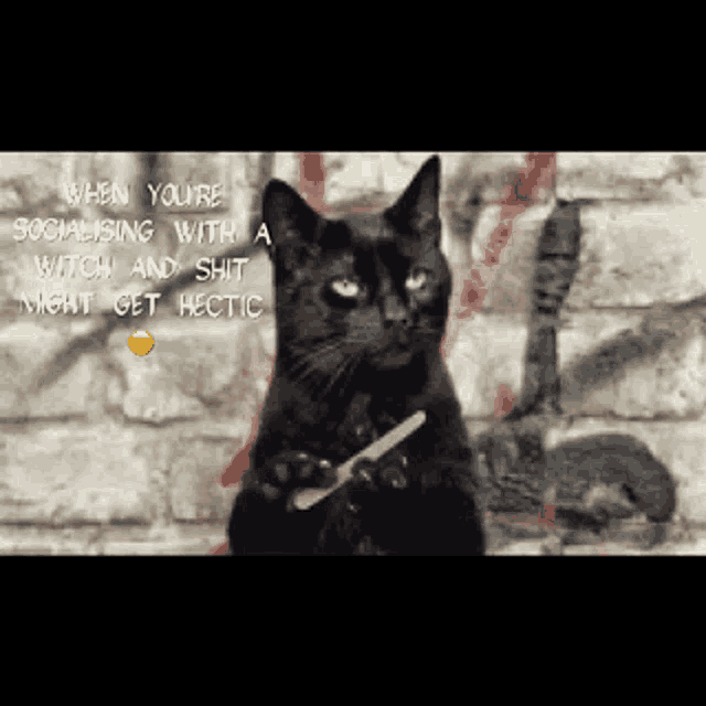 Cat Witch GIF