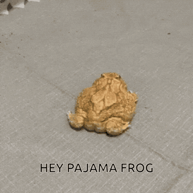 Mr Pajama Pajam GIF - Mr Pajama Pajam Frog GIFs