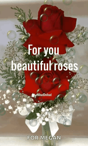 Beautiful Roses GIF - Beautiful Roses GIFs