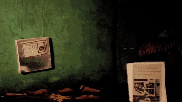 a sign on a green wall says " she is a lovely girl with the personality of a sweet girl "