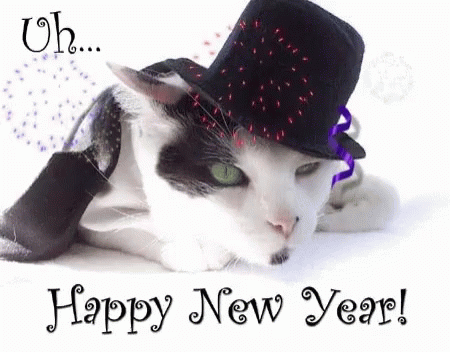 Happy New Year Cat Funny GIF