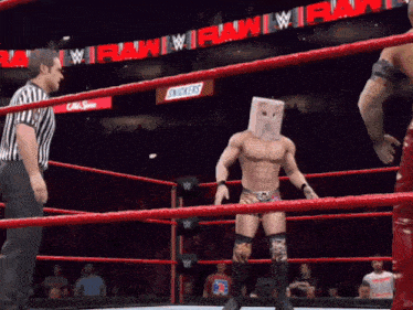 a wrestler with a paper bag on his head stands in the ring