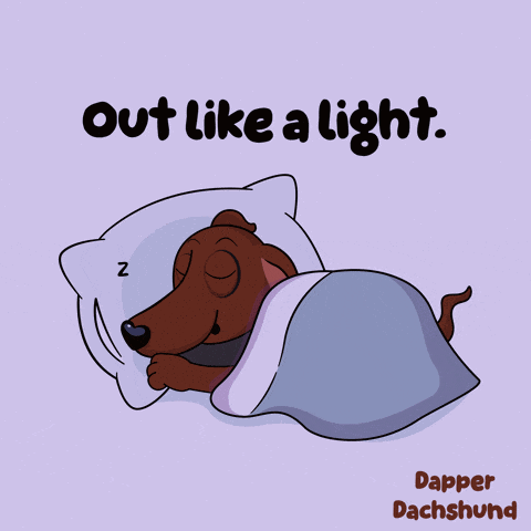 a cartoon of a dachshund sleeping with the words out like a light