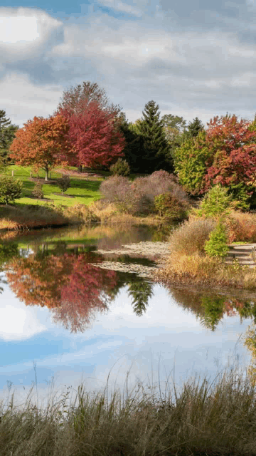 a lake surrounded by trees with red leaves