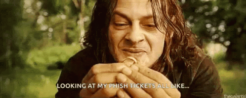Phish Tickets Lotr GIF - Phish Tickets Lotr Looking At My Tickets Like GIFs