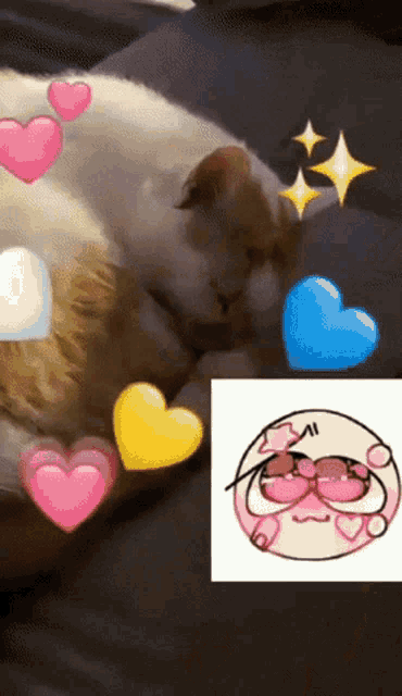 a cat is surrounded by hearts and a drawing of a cat