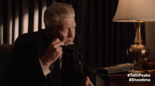 Wtf GIF - Gordon Cole Confused Say What GIFs