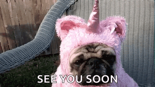 a pug dog wearing a pink unicorn costume .