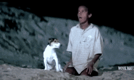 a boy kneeling next to a dog on a beach with movie root written on the bottom of the screen