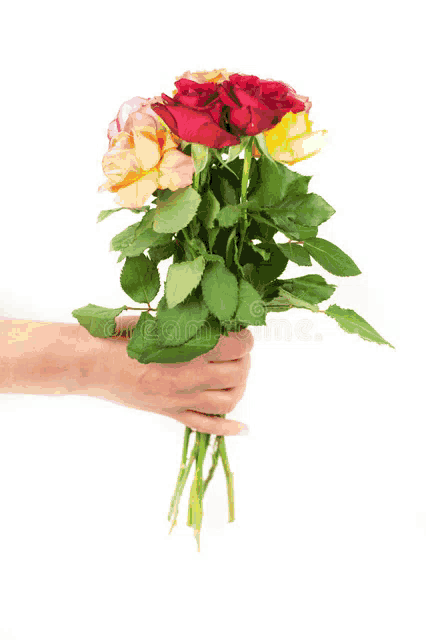 a woman 's hand is holding a bouquet of roses in different colors