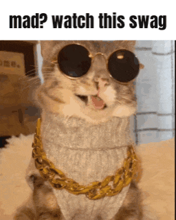a cat is wearing sunglasses and a gold chain