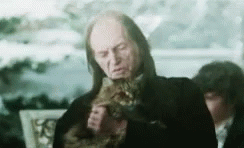 Cat Lady Filch GIF - Cat Lady Filch Chamber Of Secrets GIFs