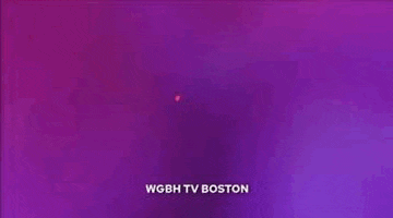 a purple background with the words wgbh tv boston