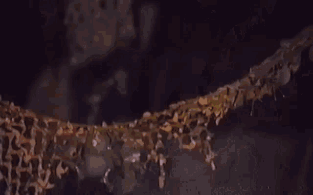 a large amount of water is being poured into a pool