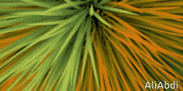 a green and orange background with the name aliabdi