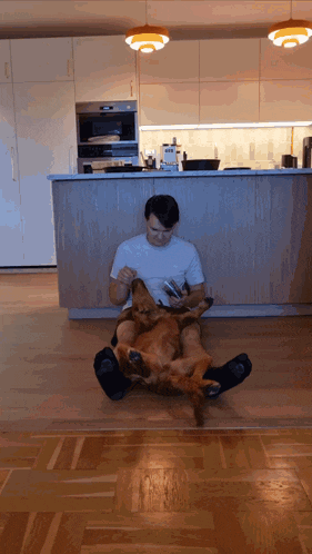 a man sits on the floor with a dog on his lap looking at his phone
