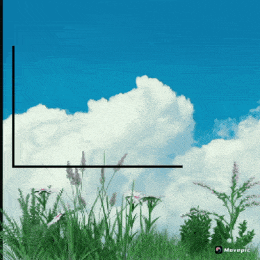 a picture of a grassy field with a blue sky and clouds behind it