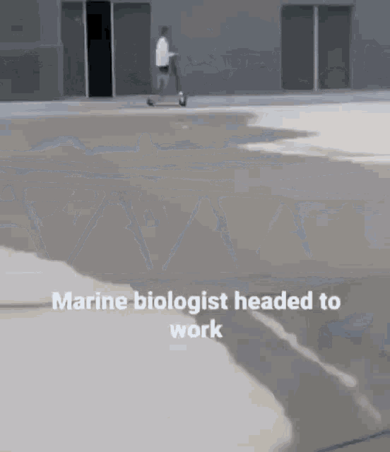 Marine Biologist Headed GIF - Marine Biologist Headed To GIFs