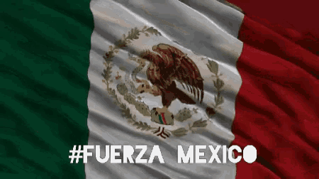 a mexican flag is waving in the wind with the words fuerza mexico below it