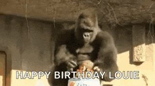 a gorilla is blowing out candles on a birthday cake and saying `` happy birthday louie '' .