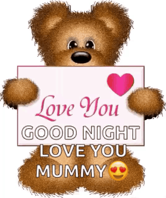 a teddy bear is holding a sign that says `` love you good night , love you mummy '' .
