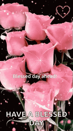 a bunch of pink roses on a black background with the words blessed day ahead