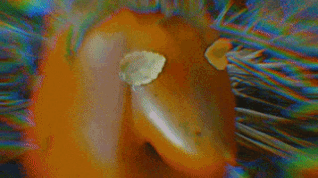 a close up of a mushroom in the grass with a colorful background