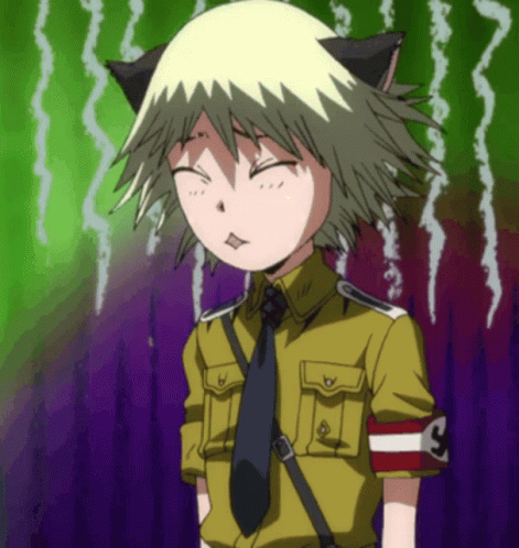 Schrodinger Anime GIF - Schrodinger Anime Huh GIFs
