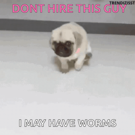 Worms Job GIF - Worms Job GIFs